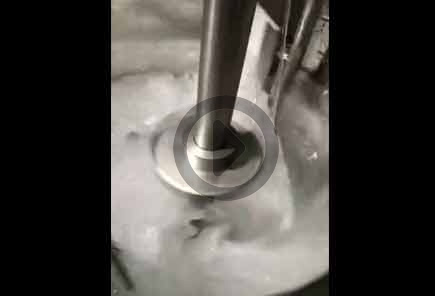 浸入式同心双搅水试视频